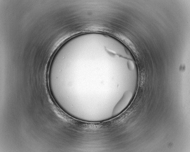 X0000093361039200711011203