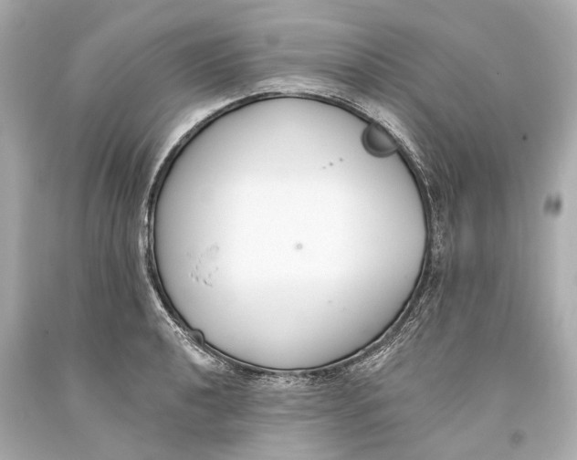 X0000093361040200711011203