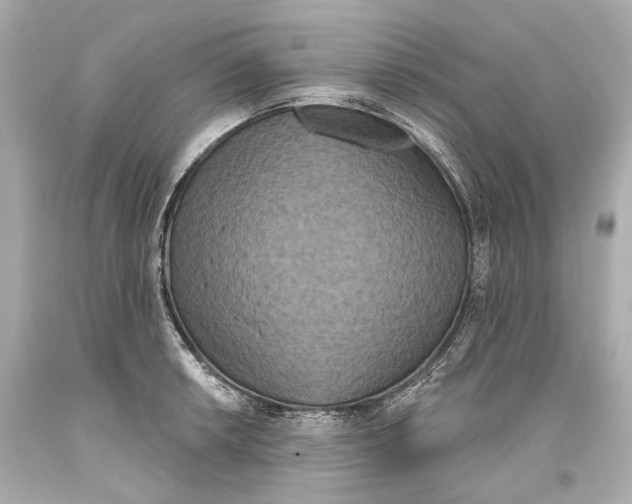 X0000093361042200711011203