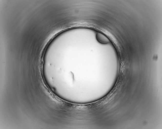 X0000093361043200711011203