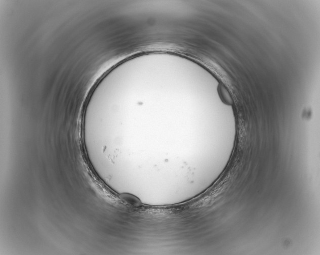 X0000093361044200711011203