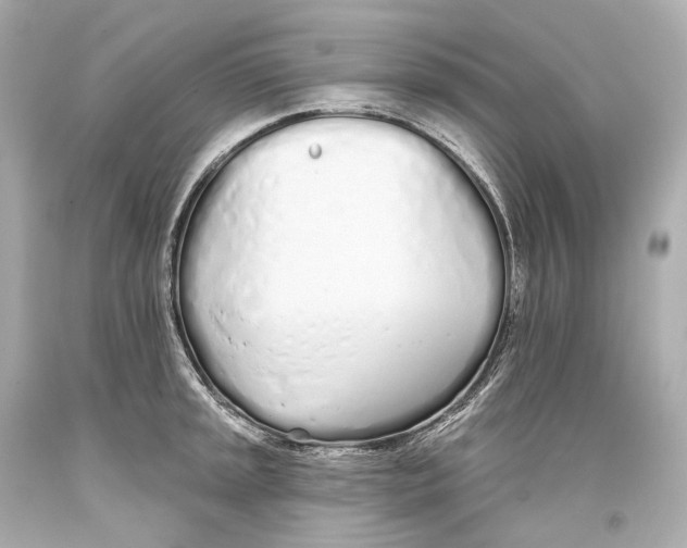 X0000093361045200711011203