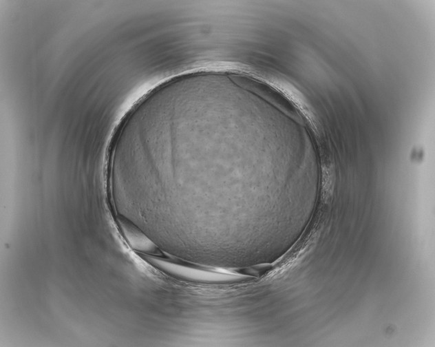 X0000093361046200711011203