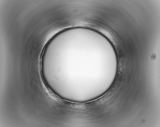 X0000093361047200711011203