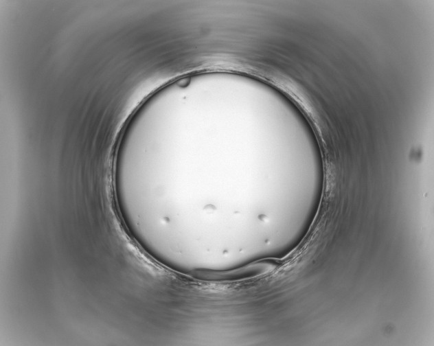 X0000093361048200711011203