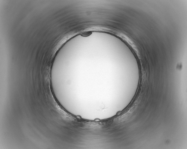 X0000093361049200711011203