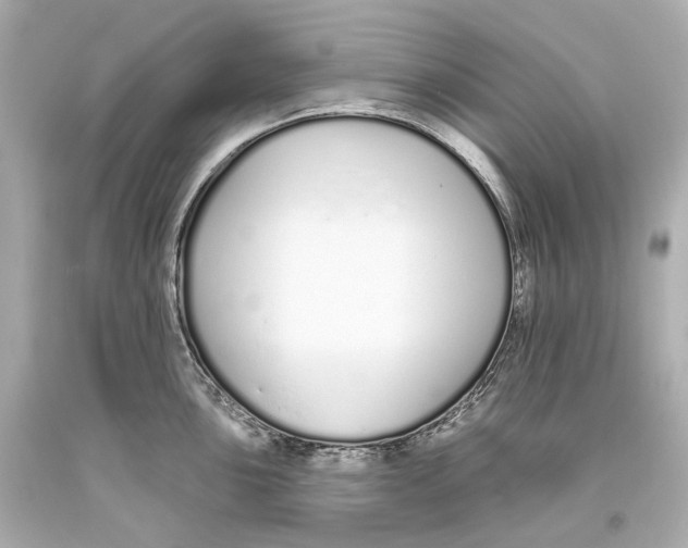 X0000093361051200711011203