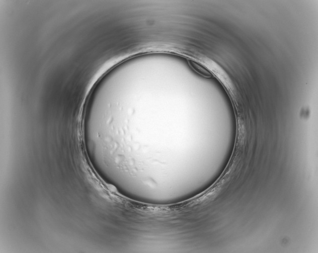 X0000093361052200711011203