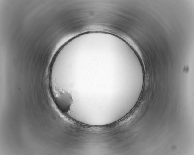 X0000093361053200711011203