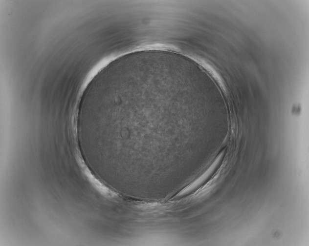 X0000093361054200711011203