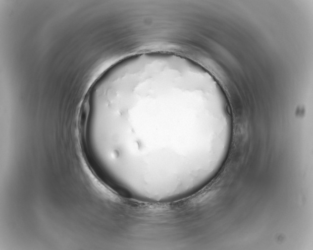 X0000093361055200711011203