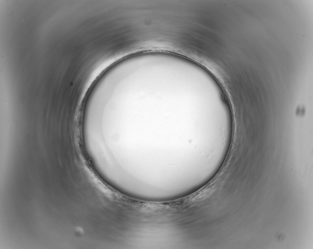 X0000093361056200711011203