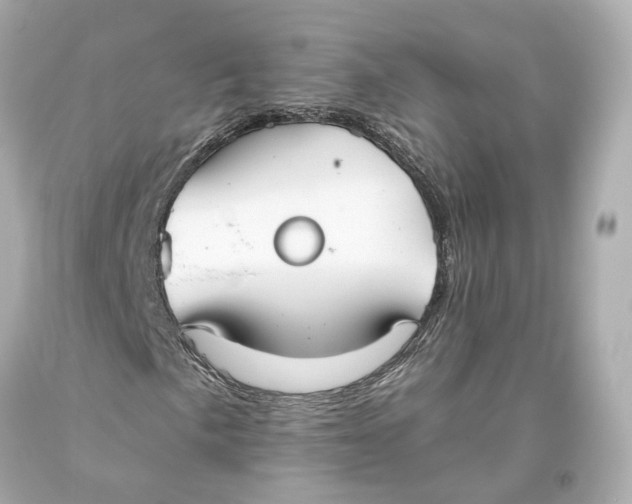 X0000093361057200711011203