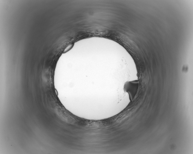 X0000093361058200711011203