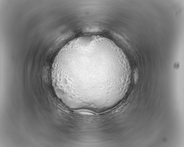 X0000093361059200711011203