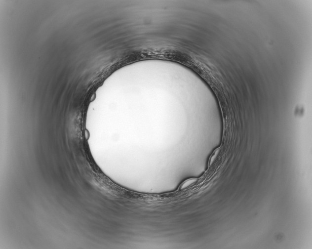 X0000093361060200711011203