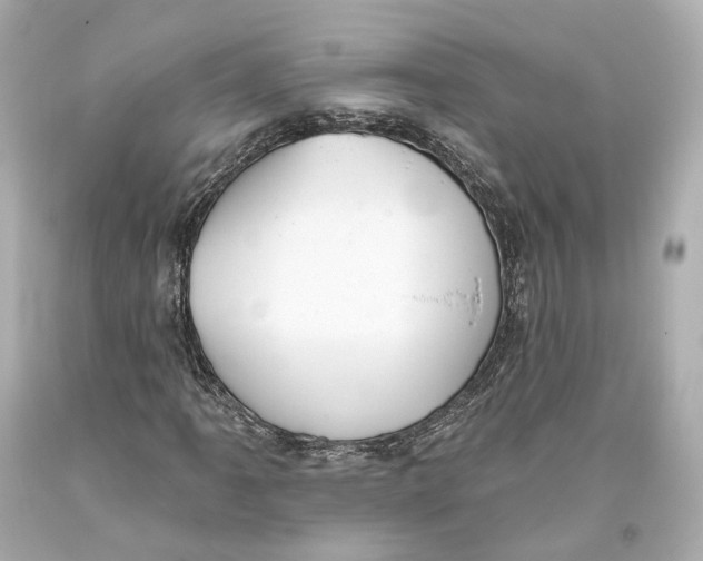 X0000093361061200711011203