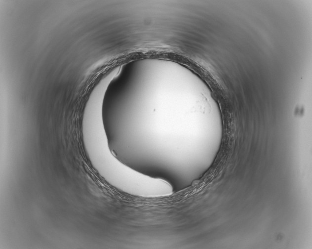 X0000093361063200711011203