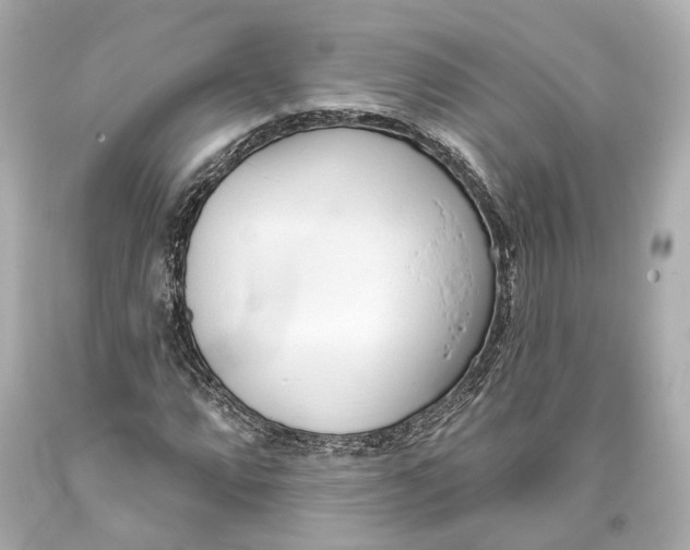 X0000093361064200711011203