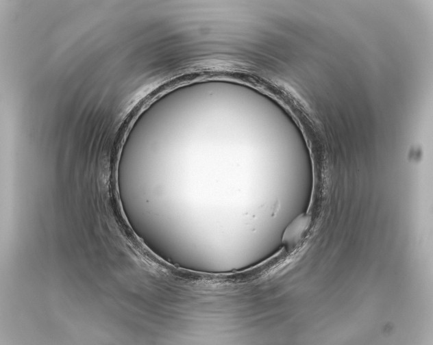 X0000093361065200711011203