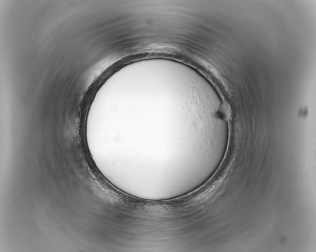 X0000093361066200711011203