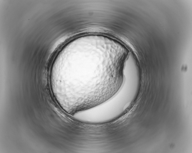 X0000093361067200711011203