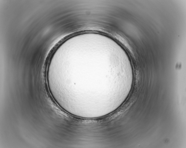 X0000093361068200711011203