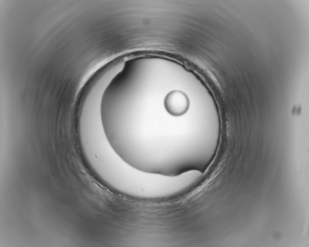 X0000093361069200711011203