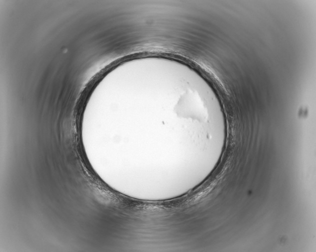 X0000093361070200711011202