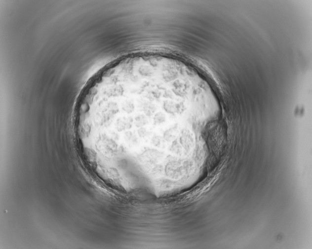 X0000093361071200711011202