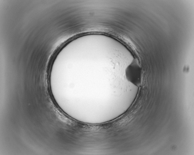 X0000093361072200711011202