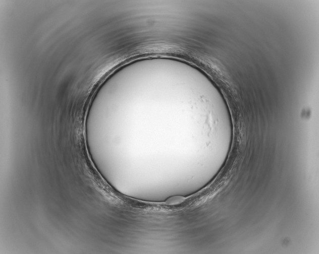 X0000093361073200711011202