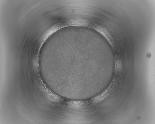 X0000093361074200711011202