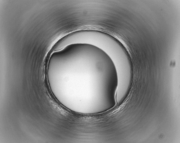 X0000093361075200711011202