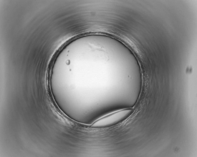 X0000093361076200711011202