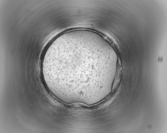 X0000093361077200711011202