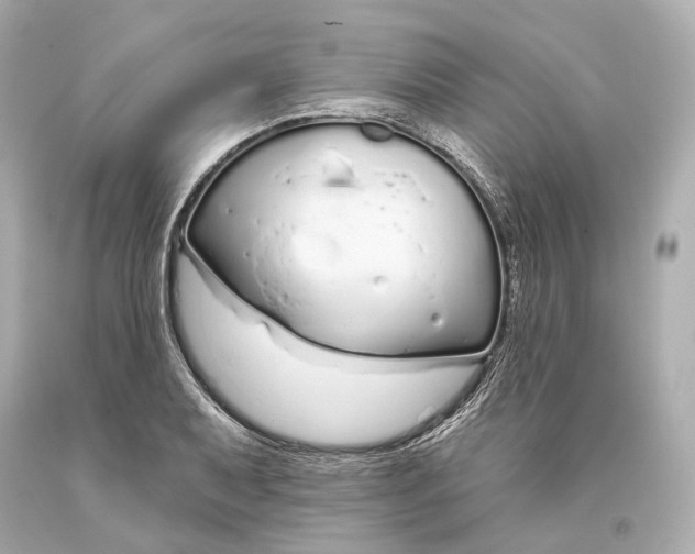 X0000093361079200711011202