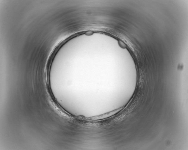 X0000093361080200711011202