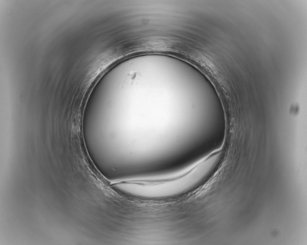 X0000093361081200711011202