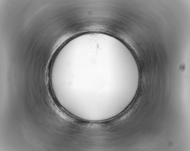 X0000093361082200711011202