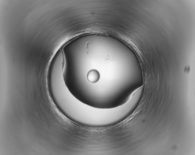 X0000093361083200711011202