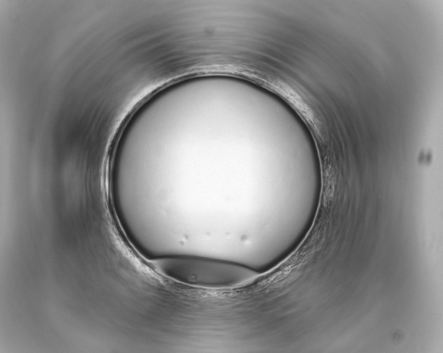 X0000093361084200711011202