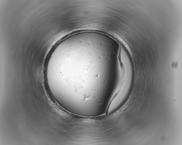 X0000093361085200711011202