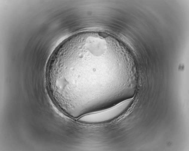 X0000093361087200711011202