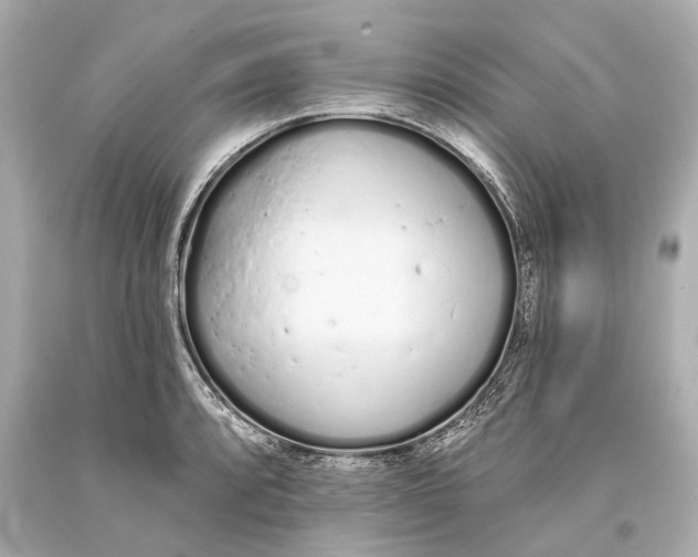 X0000093361088200711011202