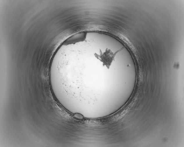 X0000093361089200711011202