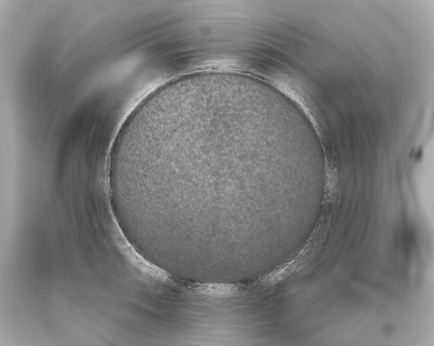 X0000093361090200711011202