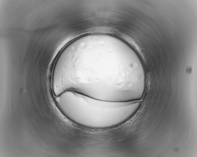 X0000093361091200711011202