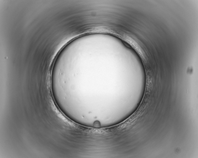 X0000093361092200711011202