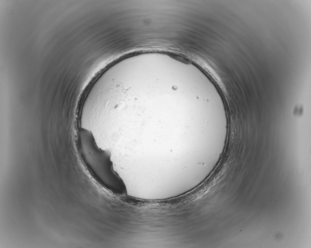 X0000093361093200711011202